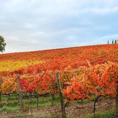 Apartamento Podere Fonte Sala 100s