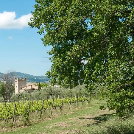 Podere Fonte Sala 100s Apartment Casale (Umbria)