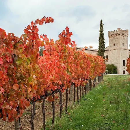 Podere Fonte Sala 100s Apartamento Casale (Umbria)